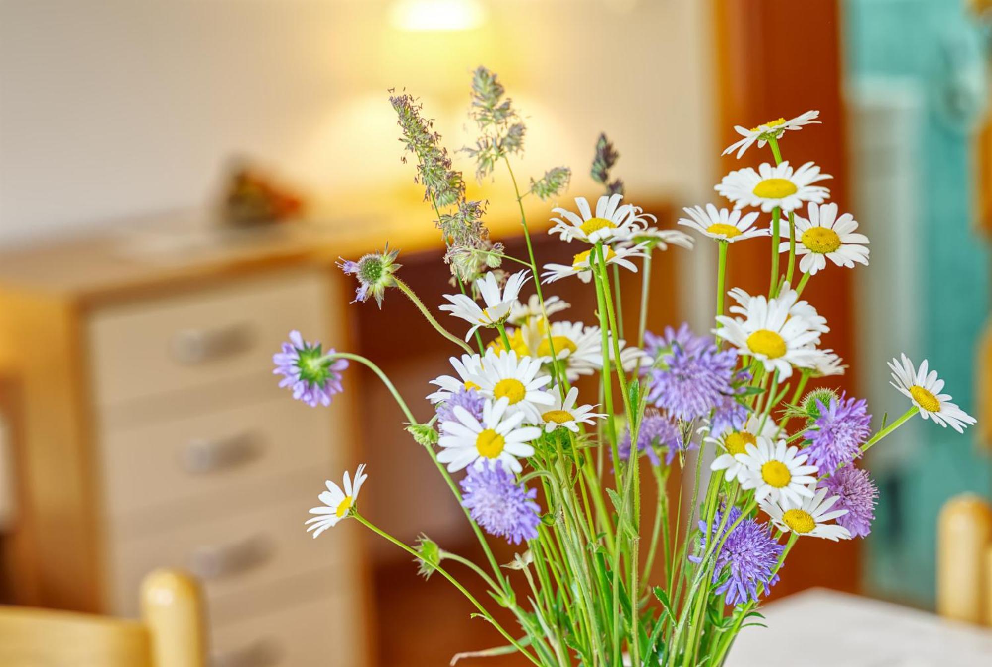 Apartments Kovacic Bohinj Εξωτερικό φωτογραφία