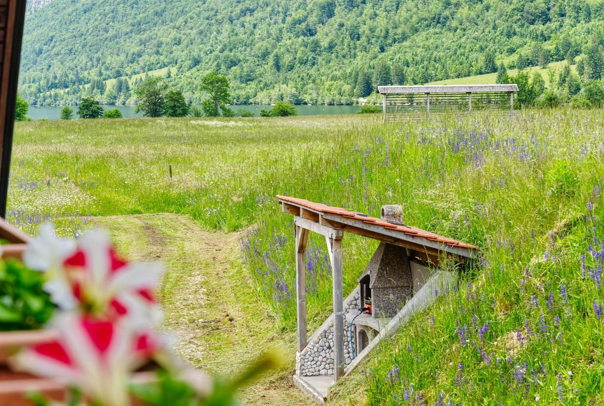 Apartments Kovacic Bohinj Εξωτερικό φωτογραφία